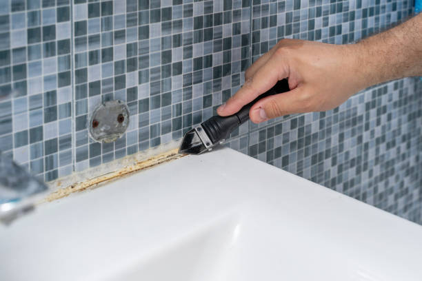 Best Commercial Mold Remediation in Shawnee Hills, OH
