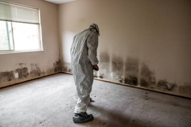 Best Post-Remediation Services in Shawnee Hills, OH